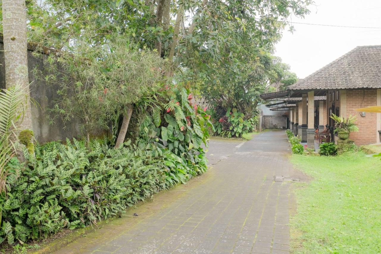 Pelangi Homestay Bedugul Redpartner Exteriör bild